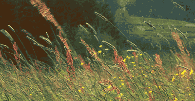 为什么有空调了还是推荐你买个风扇？(图4)