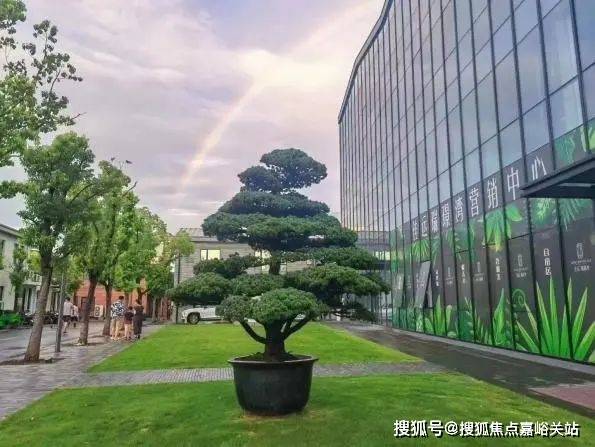 『』上海佳运·瑞璟湾售楼处发布：大宁北改善王者双轨交红盘(图12)