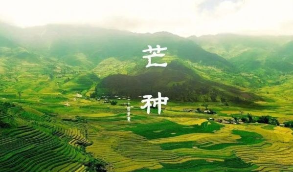 芒种养生之避雷宁夏康源肛肠医院总结一二