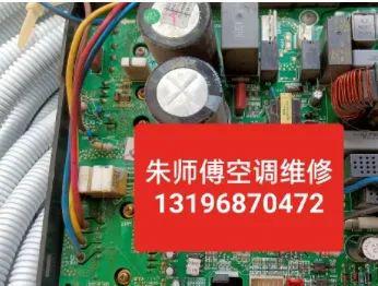 泗洪布偶猫、蓝白猫等宠物转让信息→(图6)