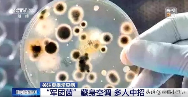 女子吹未清洗的空调致多器官衰竭为什么这么严重？空调应该怎么清理？(图7)
