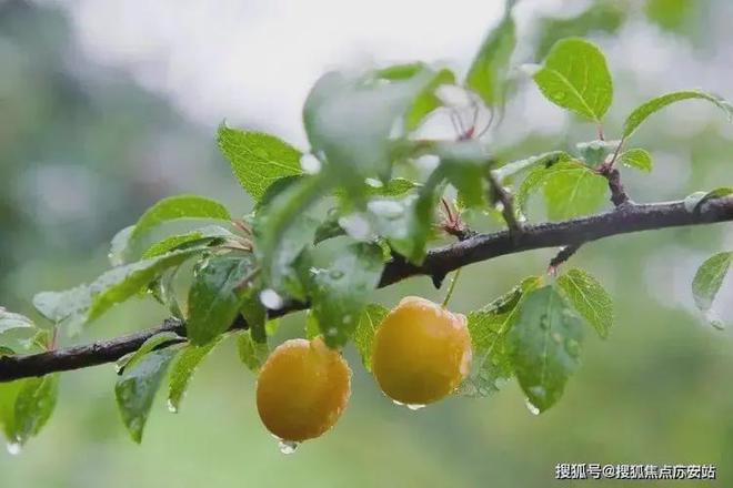 苏州松陵街道-(恒泰朗诗熙华府)网站丨欢迎您丨楼盘(图7)