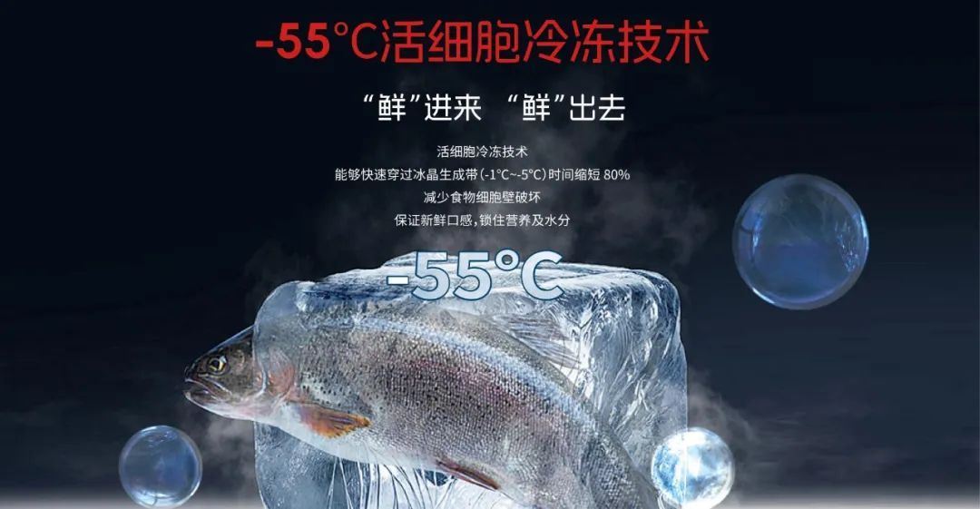“智领冷暖·聚势起航”｜2024扬子中央空调财富共创赋能大会火热开启！