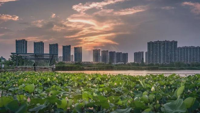 绿城留香园网站售楼处：带中央空调地暖新风(图33)