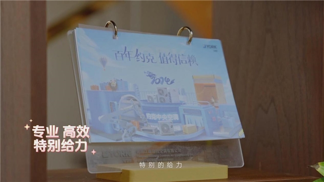 别墅大宅为什么都选约克VRF中央空调？听听别墅业主怎么说(图10)