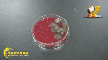 惊呆了！家里空调原来这么脏这三个关键地方一定要清洗(图7)