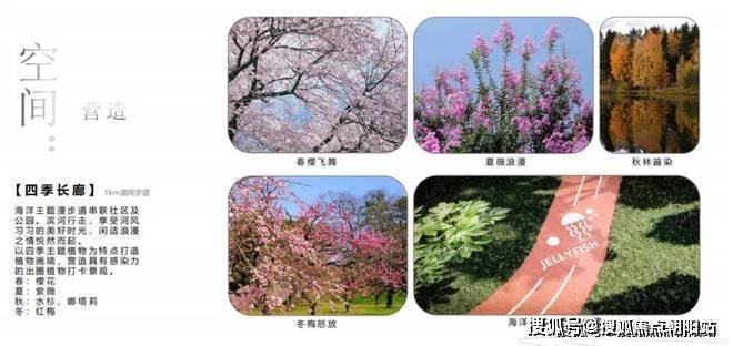 国贸虹桥璟上-售楼处网站-国贸虹桥璟上售楼中心-上海房天下(图5)
