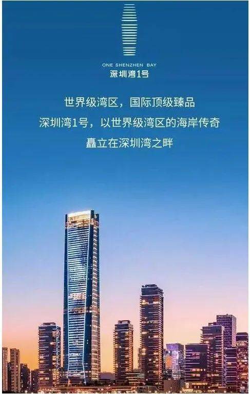 南山「深圳湾1号」招租2024网站深圳湾1号首页网站-房天下(图4)