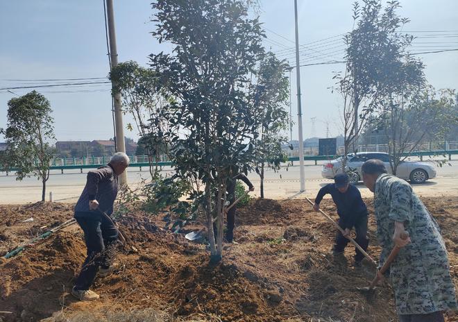 武穴市公路事业发展中心：冲刺春季养护攻势提升国省道绿色颜值(图3)