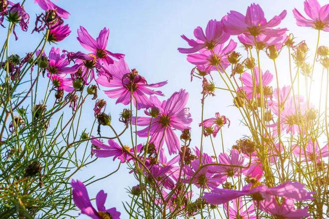 跟亲家来往最掉价的3种行为希望你一个都没有!(图4)