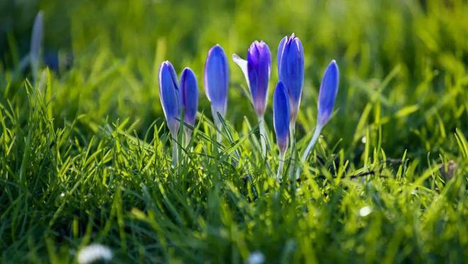 跟亲家来往最掉价的3种行为希望你一个都没有!(图5)