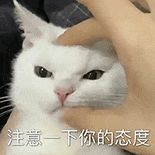 79元！小米这些老机型好香啊(图3)