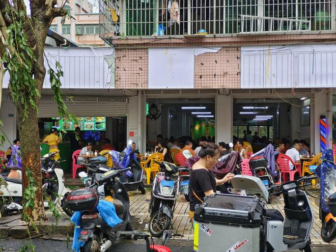 极值之下｜超强台风登陆海南后：破坏、重建和灾害适应(图5)