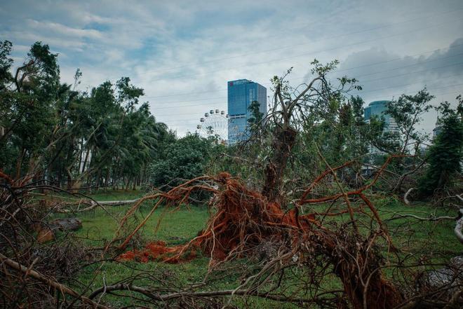 极值之下｜超强台风登陆海南后：破坏、重建和灾害适应(图7)