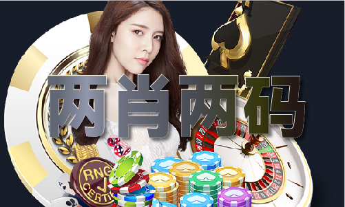 2019年开奖历史记录完整版专
