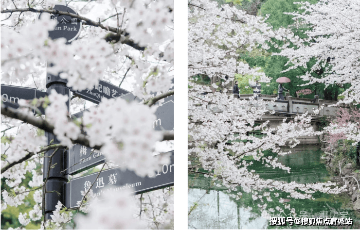 中建虹悦里(售楼处)首页网站-中建虹悦里销售中心(营销中心)-楼盘欢迎您-小区环境-户型-价格-地址-楼盘详情-周边配套-售楼处电话-交房时间(图13)