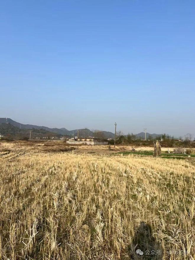 2025年清明不一般老人说：“上坟4物不带3物必带”有啥讲究？(图4)