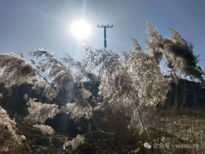 2025年清明不一般老人说：“上坟4物不带3物必带”有啥讲究？(图3)