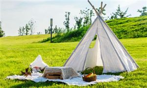 中研网行业资讯_中研普华行业研究网(图15)