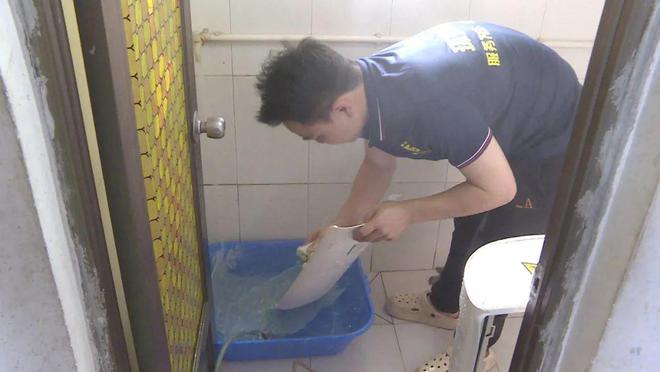 空调成夏日“宠儿”记得定期清洗(图2)