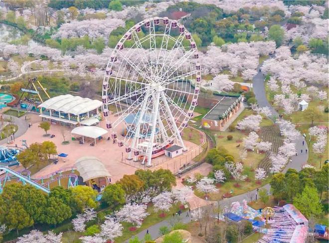 中建山水雅境售楼处发布：—中建山水雅境启幕理想生活新篇(图8)