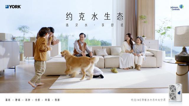 约克空调：以创新营销为翼翱翔行业升级蓝天(图1)