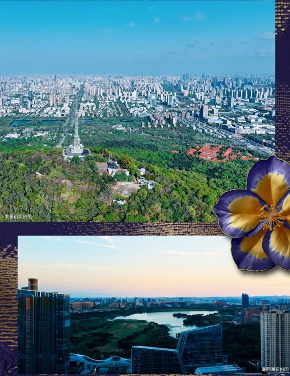 2025[售楼处]绿城锦海棠合肥[售楼中心]地址-开发商直销-内部优惠价㊣最新楼盘解析!(图6)