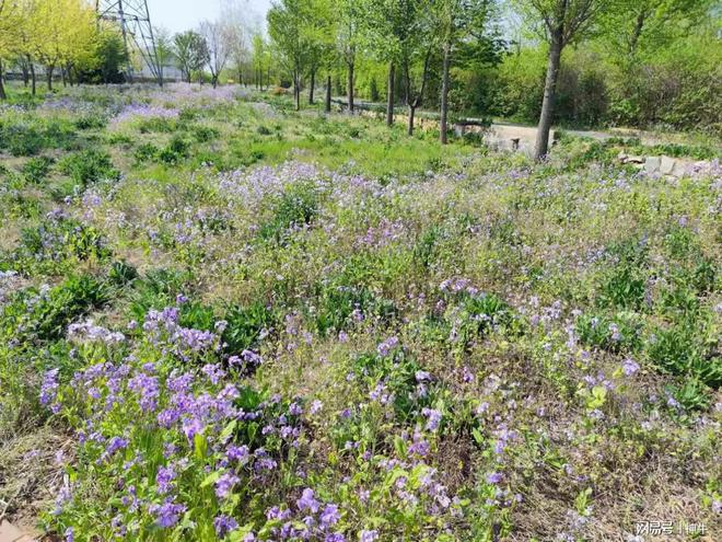 不是迷信！明日谷雨老传统讲究：1要踩、2不留、3要吃、4不洗(图2)
