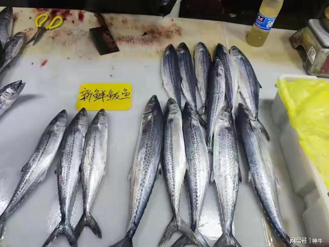 不是迷信！明日谷雨老传统讲究：1要踩、2不留、3要吃、4不洗(图5)