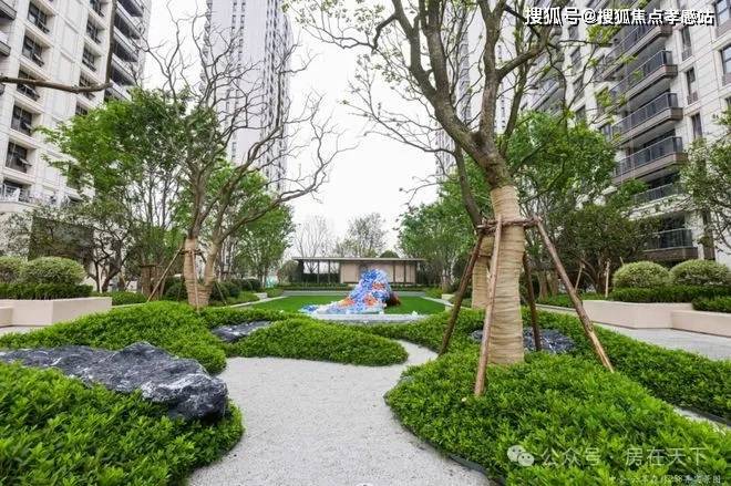 (≧≦)@中企云萃森林售楼处发布：云萃森林邀请您鉴赏(图15)