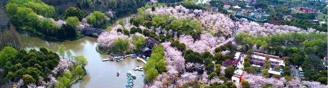 ®中建山水雅境售楼处宝山中建山水雅境发布：揭开宝藏之旅(图35)