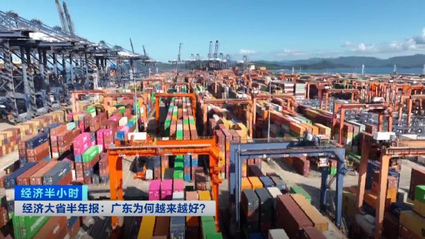 经济大省半年报：广东为何越来越好？(图3)