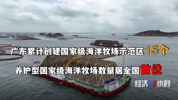 经济大省半年报：广东为何越来越好？(图20)