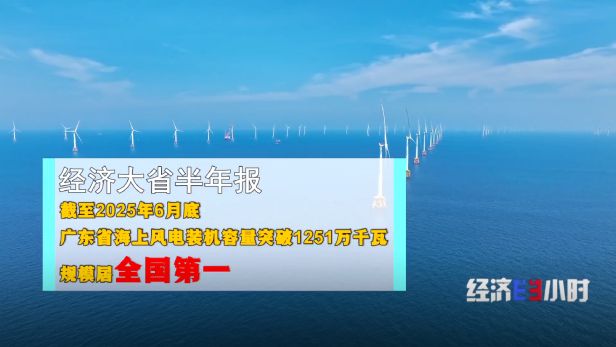 经济大省半年报：广东为何越来越好？(图21)