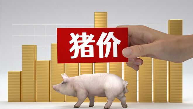 2025-05-12-明天猪价(图1)