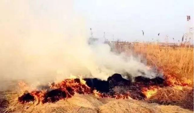 六五环境日“美丽中国我先行”保护环境就是保护我们自己