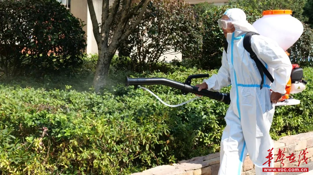 暖心迎“新”湖南电子科技职业学院全力保障2025级新生入学(图5)