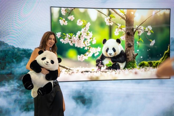 长虹熊猫主题家电IFA首秀爆火！“科技+文化”双轮驱动圈粉海外(图2)