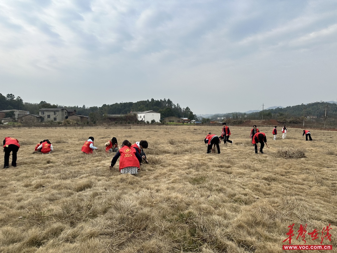 湖汽学子：打开新时代雷锋故事的N种方式(图6)