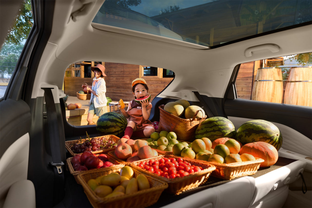 纯电小车再迎新选手极狐T1上市628万起(图4)