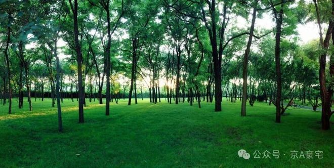 好房焦点@缦合北京售楼处发布：缦合北京引领购房热潮！(图8)