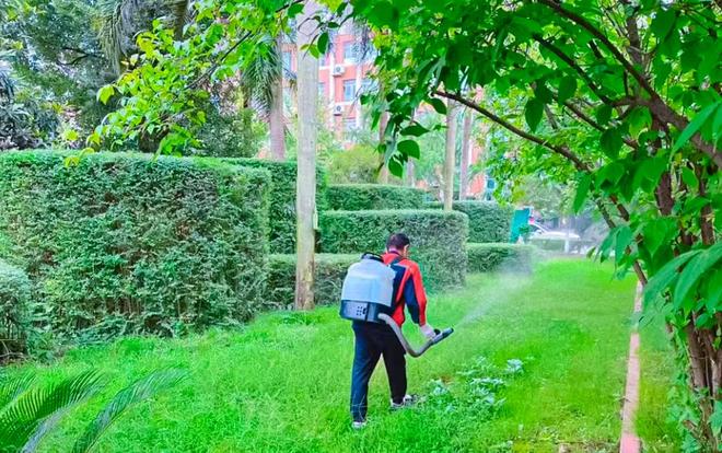 南充十一中开展基孔肯雅热防控工作(图3)