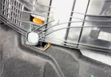 两只螃蟹在奥迪Q7中控台“藏”了两年车主忍无可忍选择拆车