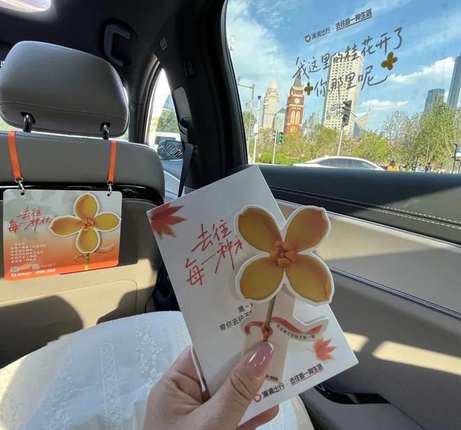 根治车内异味老司机坦言：冬季开窗加洗车就够了(图7)