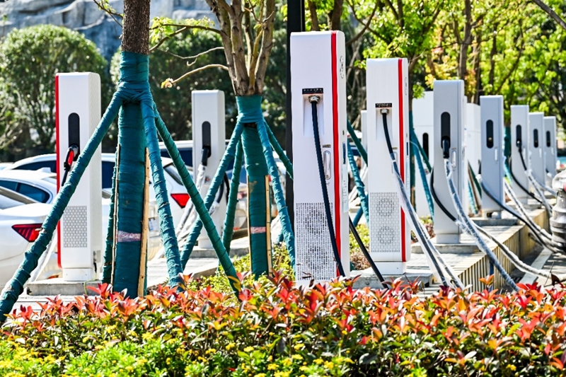 从花江峡谷大桥出发：探访“多彩贵州移起向新”(图5)