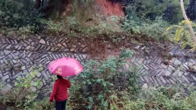 当我们住在华大壹周社区（泉州校区）(图12)