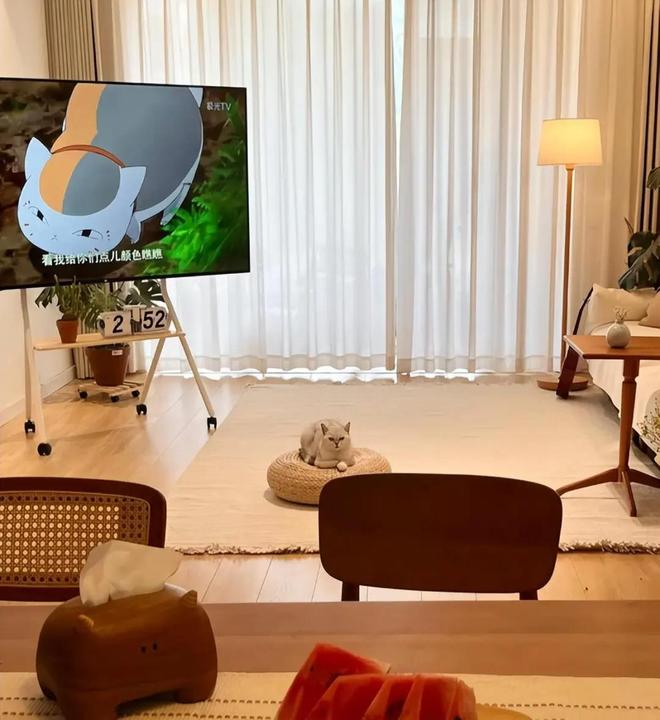 以为在国内没人用的家电其实在很多人家里的地位是无可取代的！(图3)