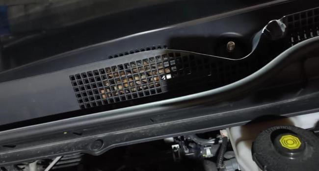 汽车引擎盖下被老鼠偷藏20斤榛子车主惊呆发现真相(图2)