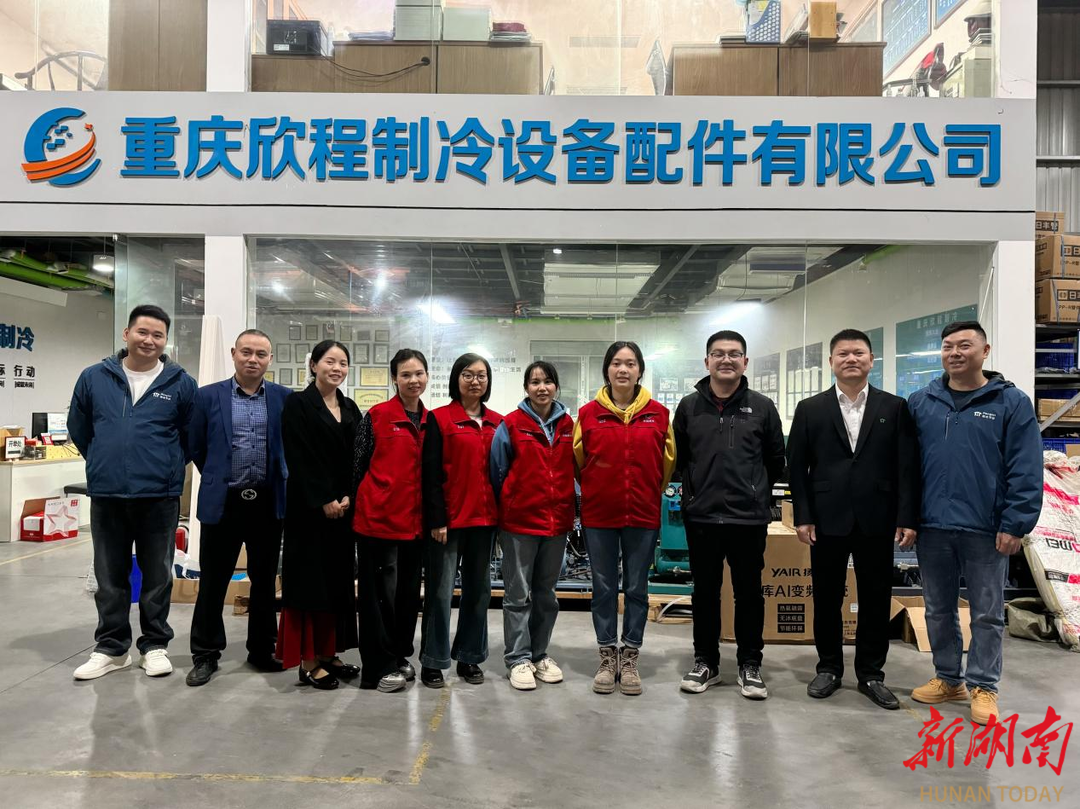 携手深耕共筑未来！衡米节能欣程制冷水系统专项培训(图3)