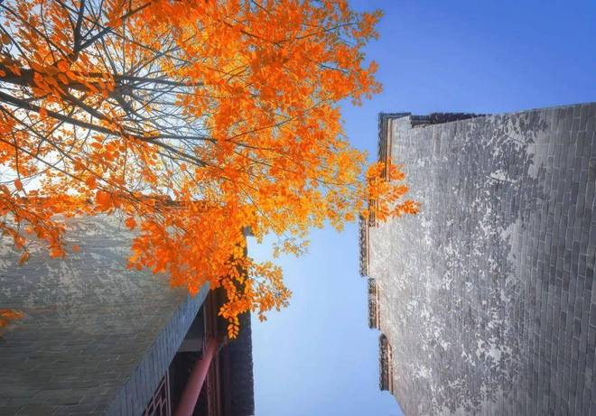 甘云间盛大开幕⚡甘云间售楼处发布佘山-上海房天下(图14)